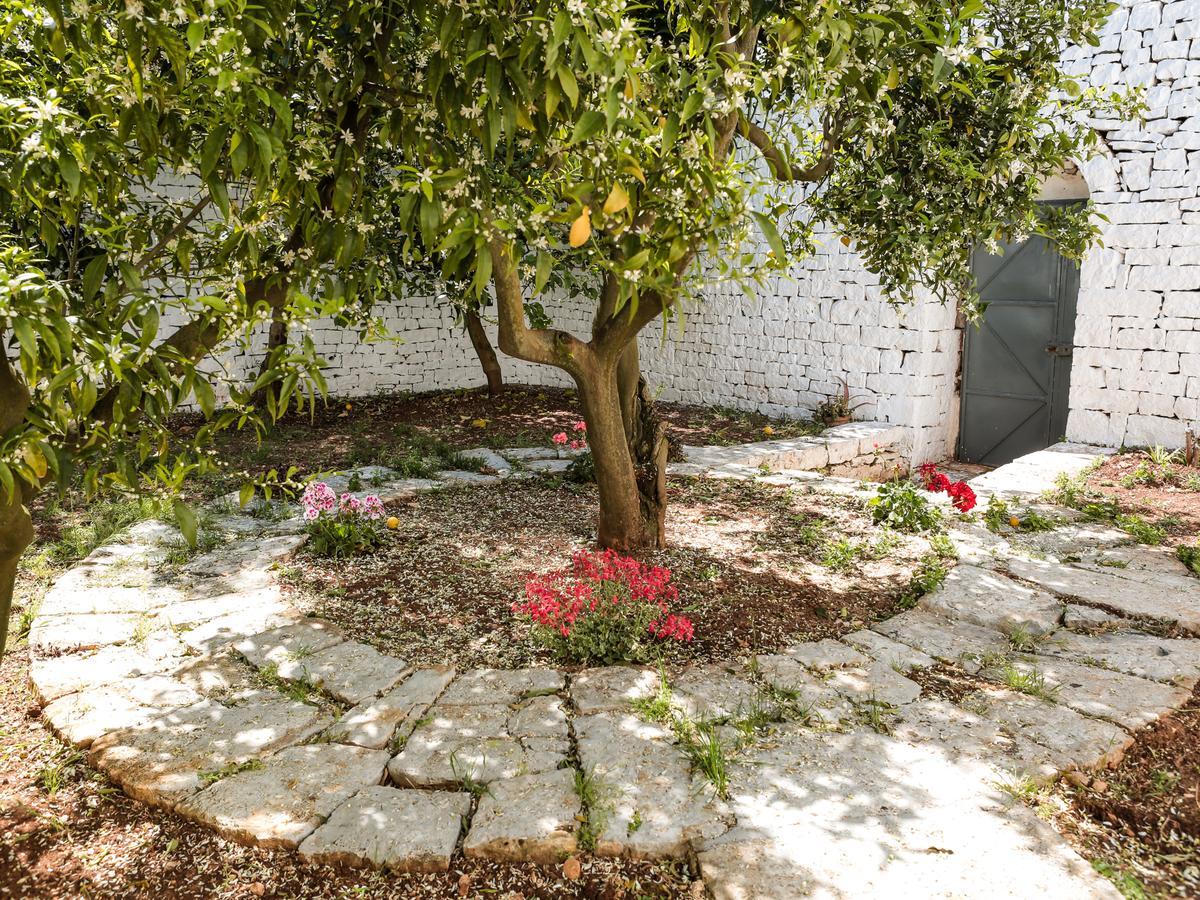 La Collina Degli Ulivi Apartment Fasano Exterior photo